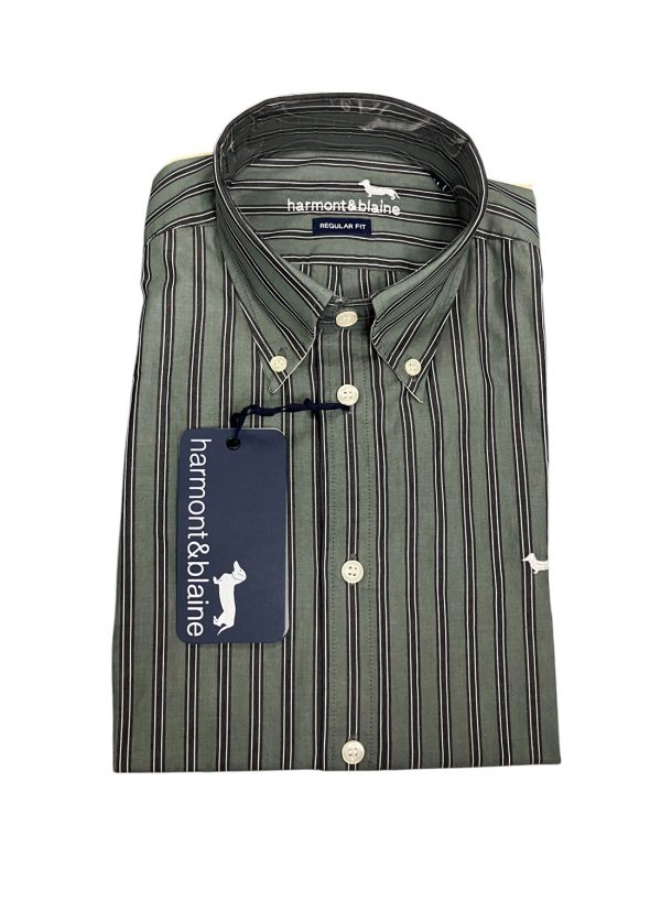Harmont & Blaine - Camicia regular fit in cotone verde a righe grigio e bianco