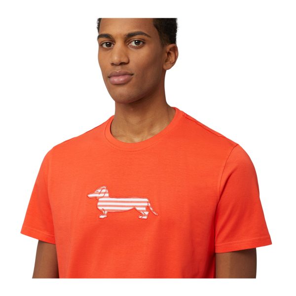 Harmont & Blaine - T-shirt Sorbetto arancione con bassotto IRN003 - immagine 3